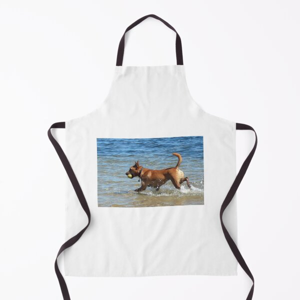 Item preview, Got it!!! designed and sold by Roz McQuillan Fine Art & Photography.