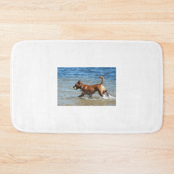 Item preview, Got it!!! designed and sold by Roz McQuillan Fine Art & Photography.