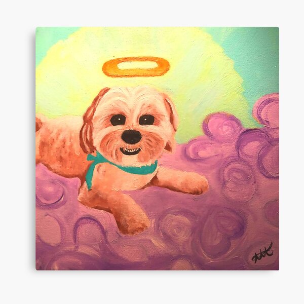 Biscuit the Morkie Canvas Print