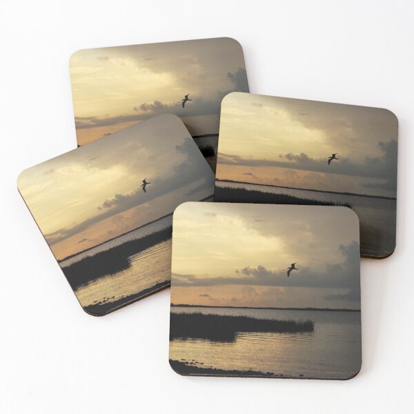 Item preview, Flight of the Skimmer designed and sold by Texas Enfocus Photography.