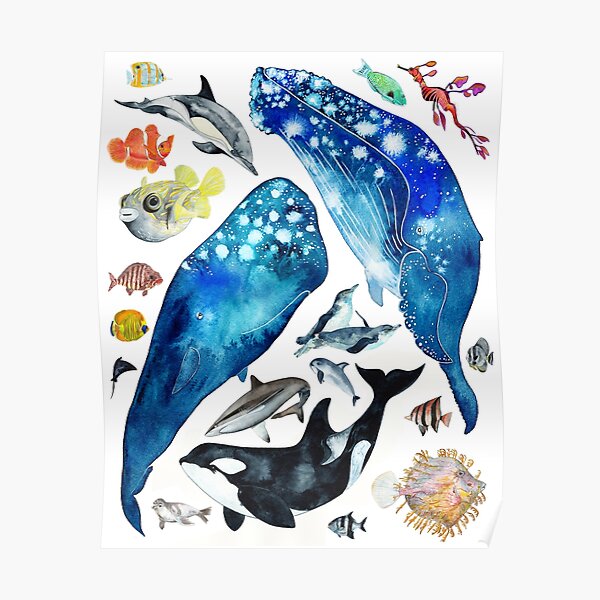 Happy Sea Creatures Poster