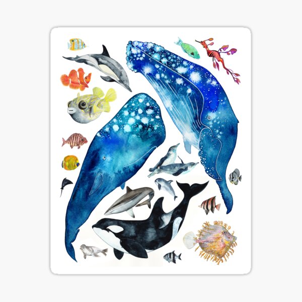 Happy Sea Creatures Sticker