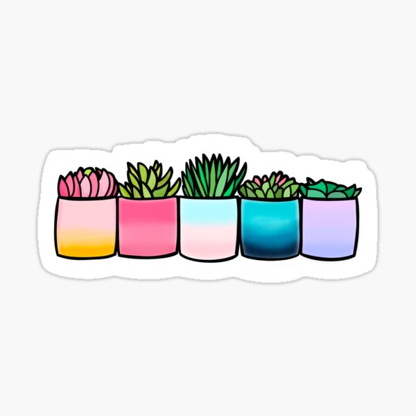 Teacher Cactus Gifts Merchandise Redbubble