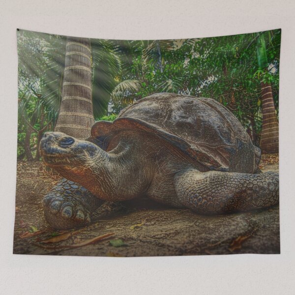 Item preview,  Galapagos Turtle shares Early Morning togeather designed and sold by Steven Kight.