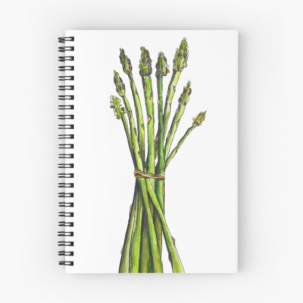 Item preview, Asparagus designed and sold by Cathryn Mezzo.