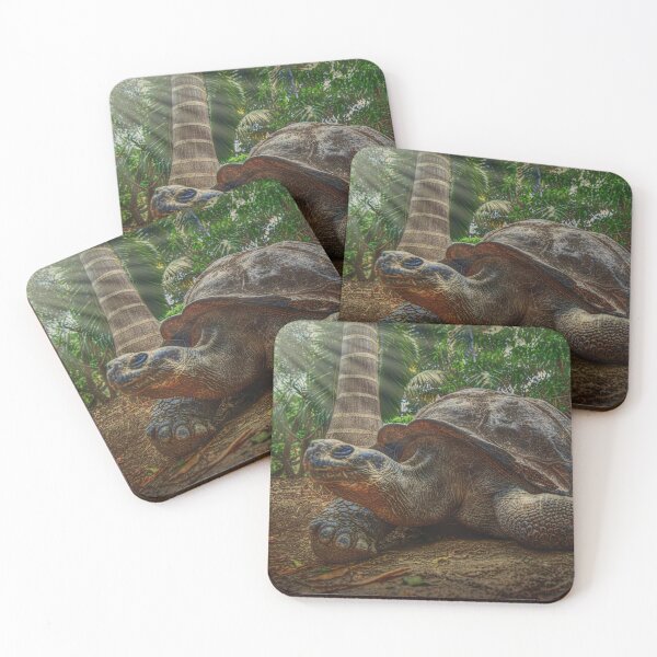 Item preview,  Galapagos Turtle shares Early Morning togeather designed and sold by Steven Kight.