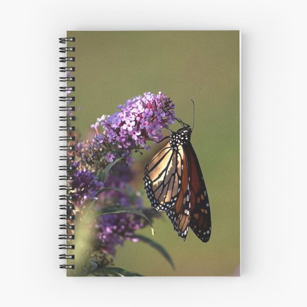 Item preview, Dappled Monarch designed and sold by Adam Bykowski.