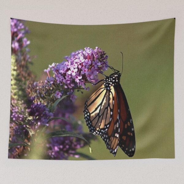 Item preview, Dappled Monarch designed and sold by Adam Bykowski.