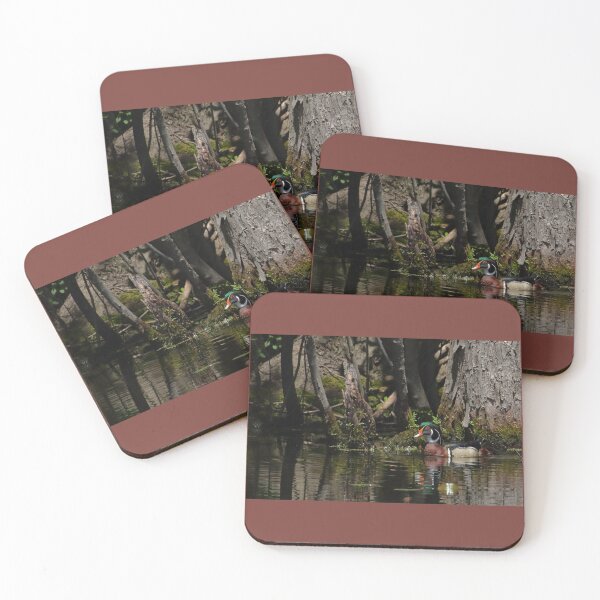 Item preview, Wood Duck Environment designed and sold by TCW Studios.