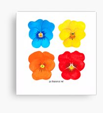 COLORED FLOWERS EXPERIMENT Canvas Print