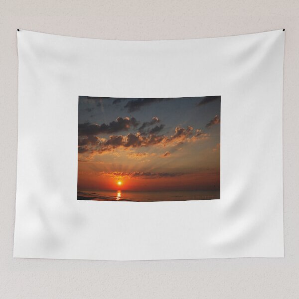 Item preview, Burning Seagull designed and sold by Texas Enfocus Photography.