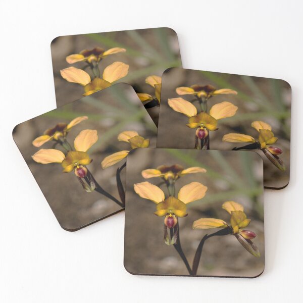 Item preview, Donkey Orchid,Great Ocean Road. designed and sold by Darryl Fowler.