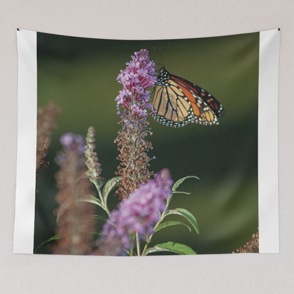 Item preview, Late Afternoon Feeding designed and sold by Adam Bykowski.
