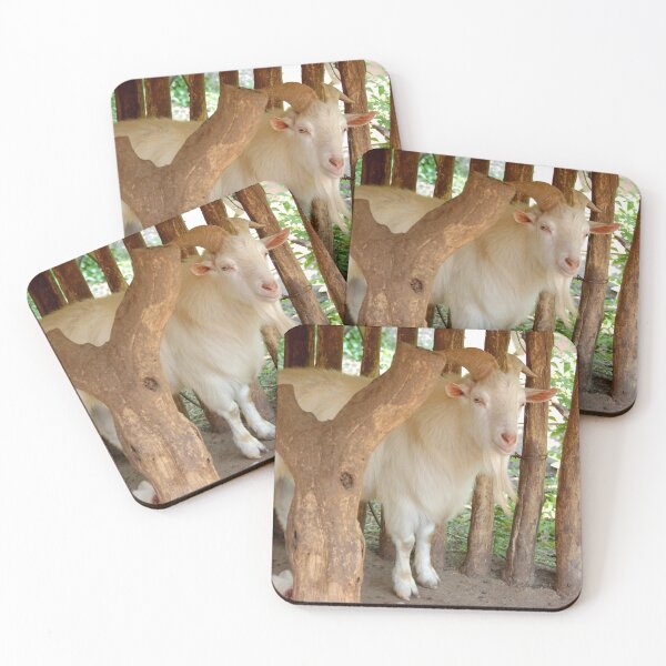 Item preview, MOUNTAIN GOAT | Animal Photo designed and sold by PhotoStory.