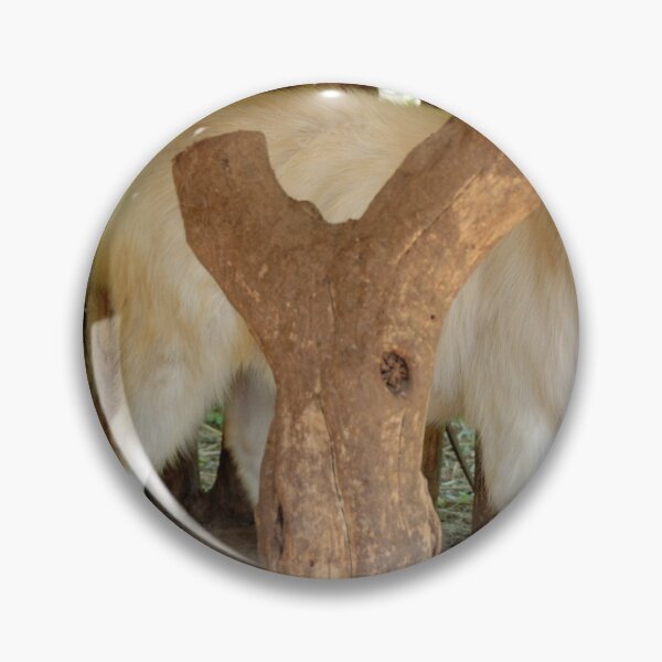 Item preview, MOUNTAIN GOAT | Animal Photo designed and sold by PhotoStory.