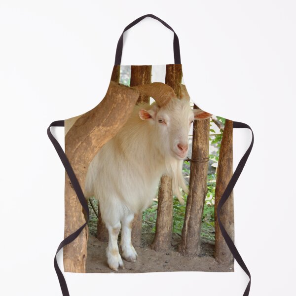 Item preview, MOUNTAIN GOAT | Animal Photo designed and sold by PhotoStory.