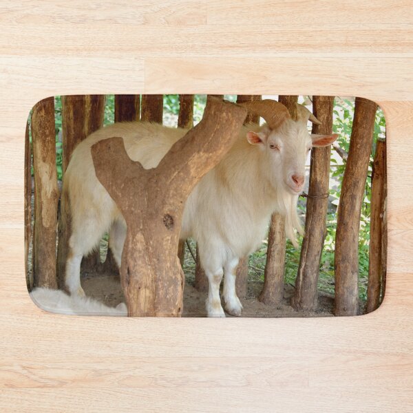 Item preview, MOUNTAIN GOAT | Animal Photo designed and sold by PhotoStory.