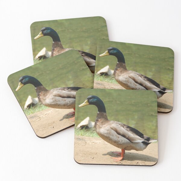 Item preview, DUCK AT FARM | Animal Photo designed and sold by PhotoStory.