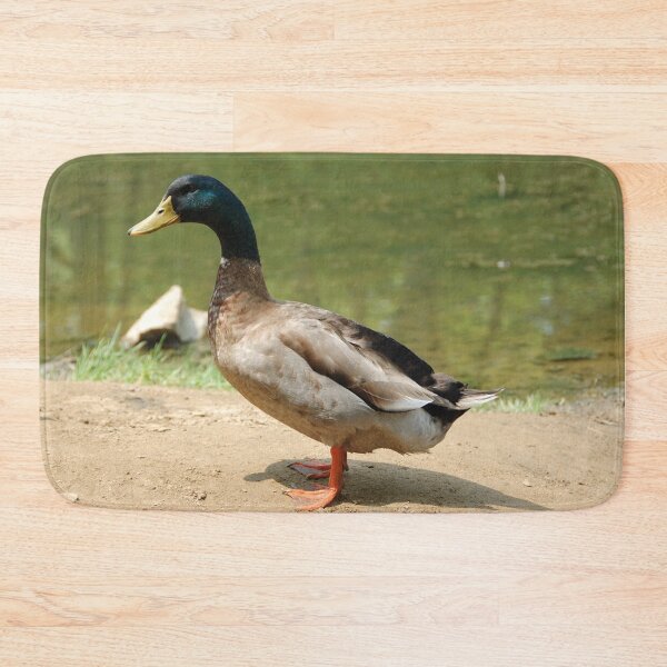 Item preview, DUCK AT FARM | Animal Photo designed and sold by PhotoStory.