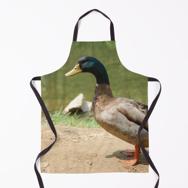 Item preview, DUCK AT FARM | Animal Photo designed and sold by PhotoStory.