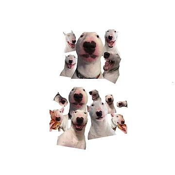 Artwork thumbnail, @PupperNelson: Backpack! by PupperNelson
