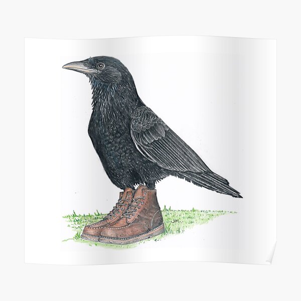 Crow in Roger's boots Poster