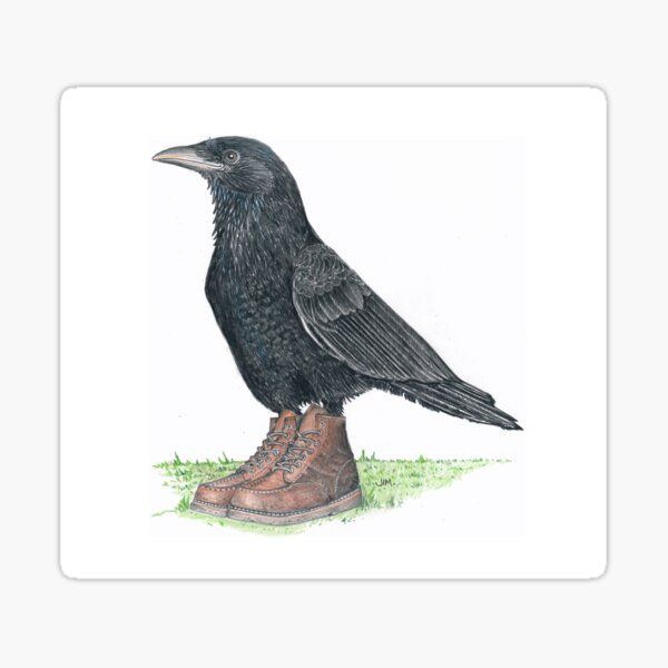 Crow in Roger's boots Sticker