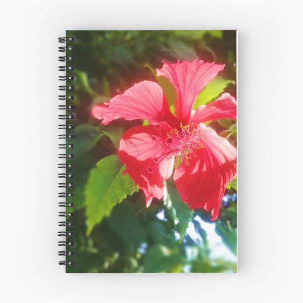 Item preview, Shoeblack flower pt II designed and sold by ElespectroJ.