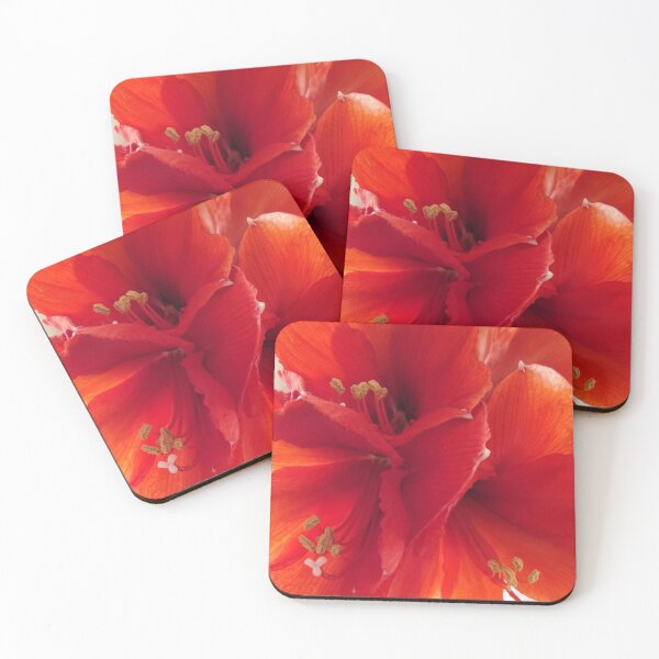 Item preview, Orange Amaryllis designed and sold by doodle3Dandy.