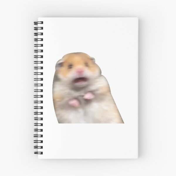 Aperçu de l'œuvre Hamster meme créée et vendue par brockolii.