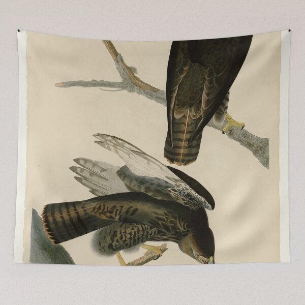 Item preview, 86 Black Warrior designed and sold by Bird-Lore.