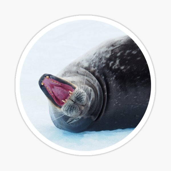 Seal Of Approval (Round) Sticker