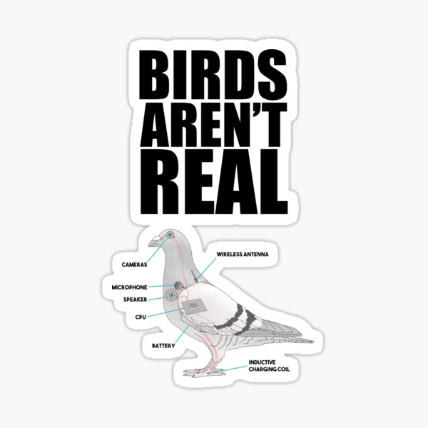 Artikel-Vorschau von Birds Aren't Real, designt und verkauft von dazure.