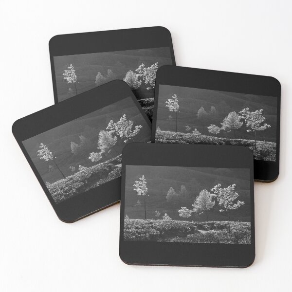 Item preview, SKN 9162 Glowing Trees. B/W designed and sold by Sunil Kapadia.