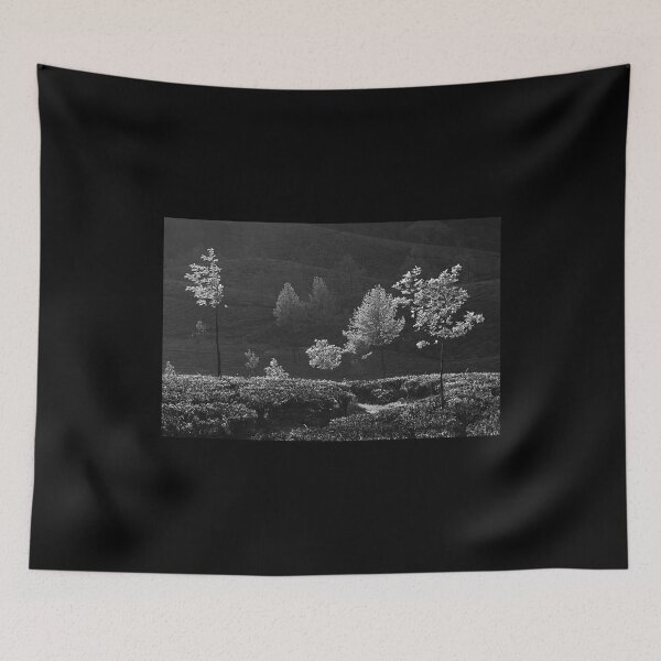 Item preview, SKN 9162 Glowing Trees. B/W designed and sold by Sunil Kapadia.