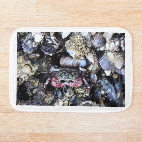 Item preview, Hidden Crab designed and sold by mateoromero2525.