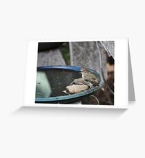 "Hey guys, there's WATER over here!" Greeting Card