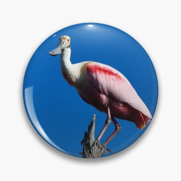 Item preview, Roseate Spoonbill on a Branch designed and sold by richardbryce.