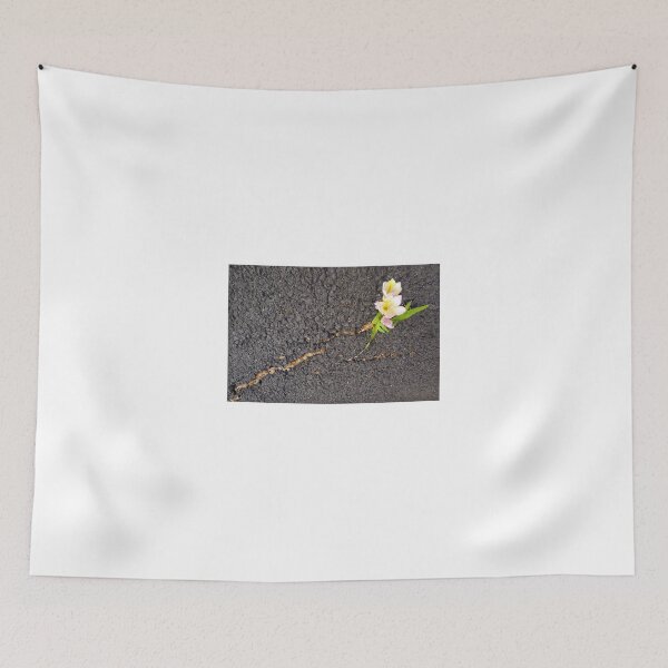 Item preview, Nature's Tenacity designed and sold by Roz McQuillan Fine Art & Photography.