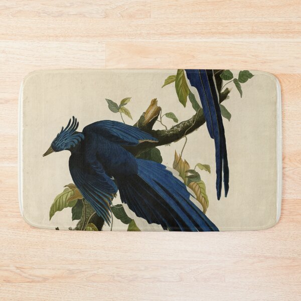 Item preview, 96 Columbia Jay designed and sold by Bird-Lore.