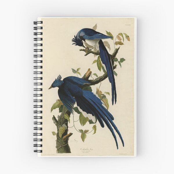 Item preview, 96 Columbia Jay designed and sold by Bird-Lore.