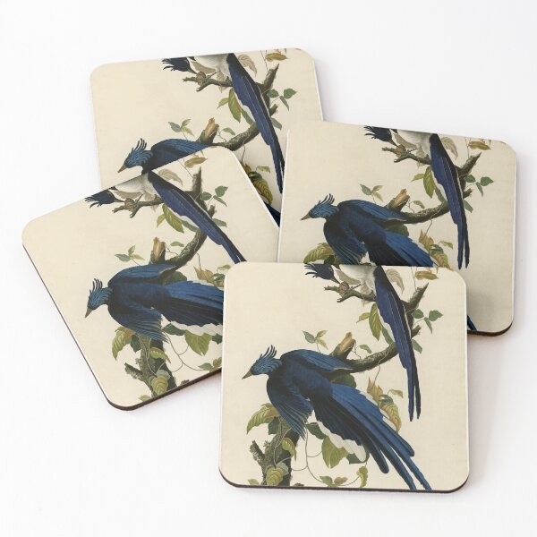 Item preview, 96 Columbia Jay designed and sold by Bird-Lore.