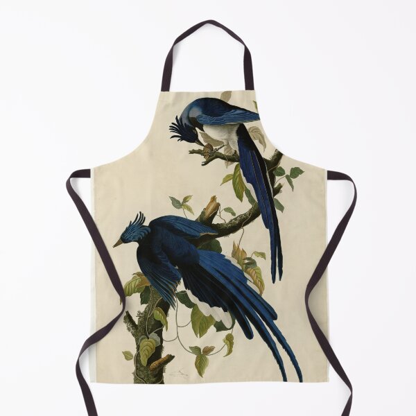 Item preview, 96 Columbia Jay designed and sold by Bird-Lore.
