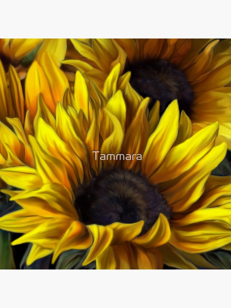 Sunshine by Tammara