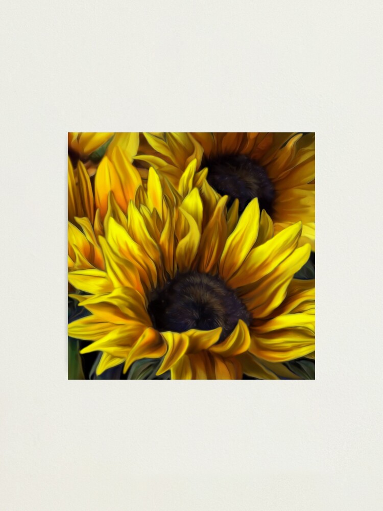 Alternate view of Sunshine Photographic Print