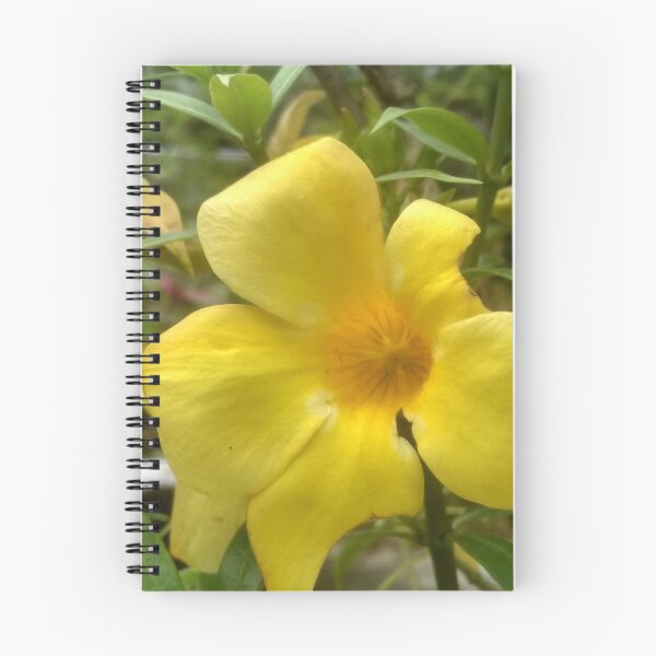 Artikelvorschau, Blume entworfen und verkauft von Monna Hossain.