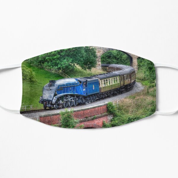 60007 Sir Nigel Gresley Locomotive Mask