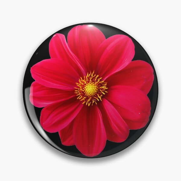 Item preview, flower designed and sold by AndrewPlus.