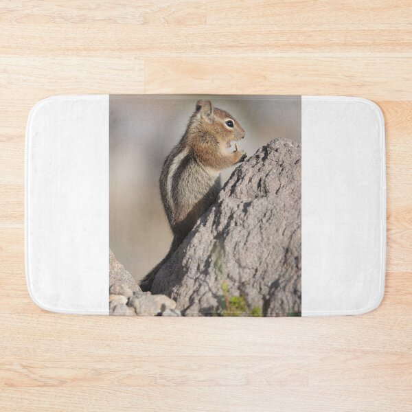 Item preview, Cascade golden-mantled ground squirrel  designed and sold by SDym Photography.