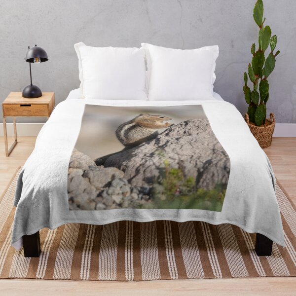 Item preview, Cascade golden-mantled ground squirrel  designed and sold by SDym Photography.